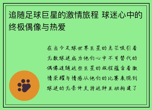 追随足球巨星的激情旅程 球迷心中的终极偶像与热爱