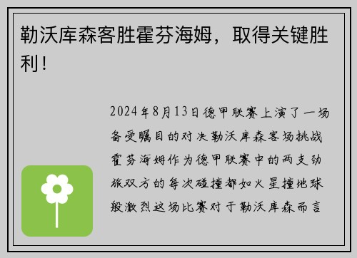 勒沃库森客胜霍芬海姆，取得关键胜利！